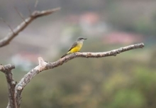 Imagen Valle de Yunguilla